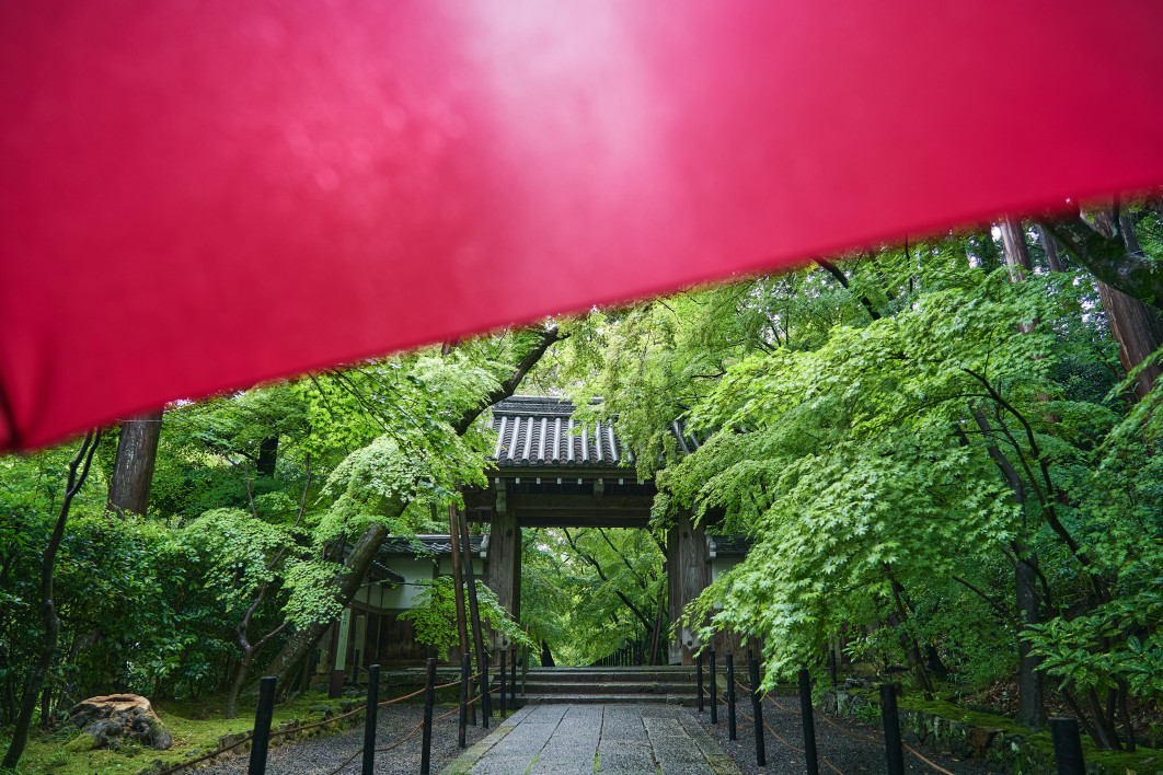 京都 雨の京都で工作はこれ！！！クロオフィシャルブログ「クロリサと呼ばれて・」Powered by Ameba