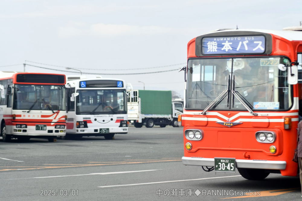 🌸サクラのサト・てりは🌷 on X: