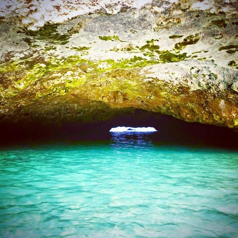 2025年最新 メキシコのビーチリゾートおすすめ2選！人気から穴場まで紹介NEWT ニュート