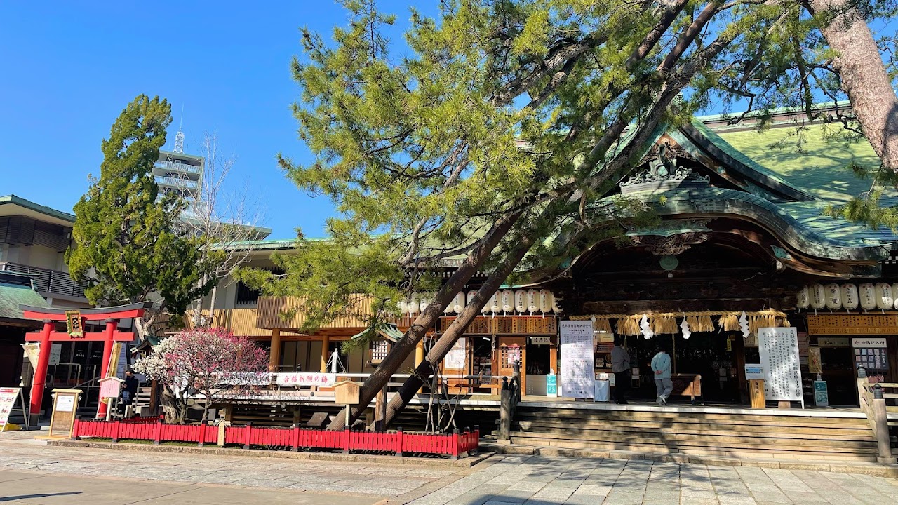 白山神社 新潟 写真素材5973321-