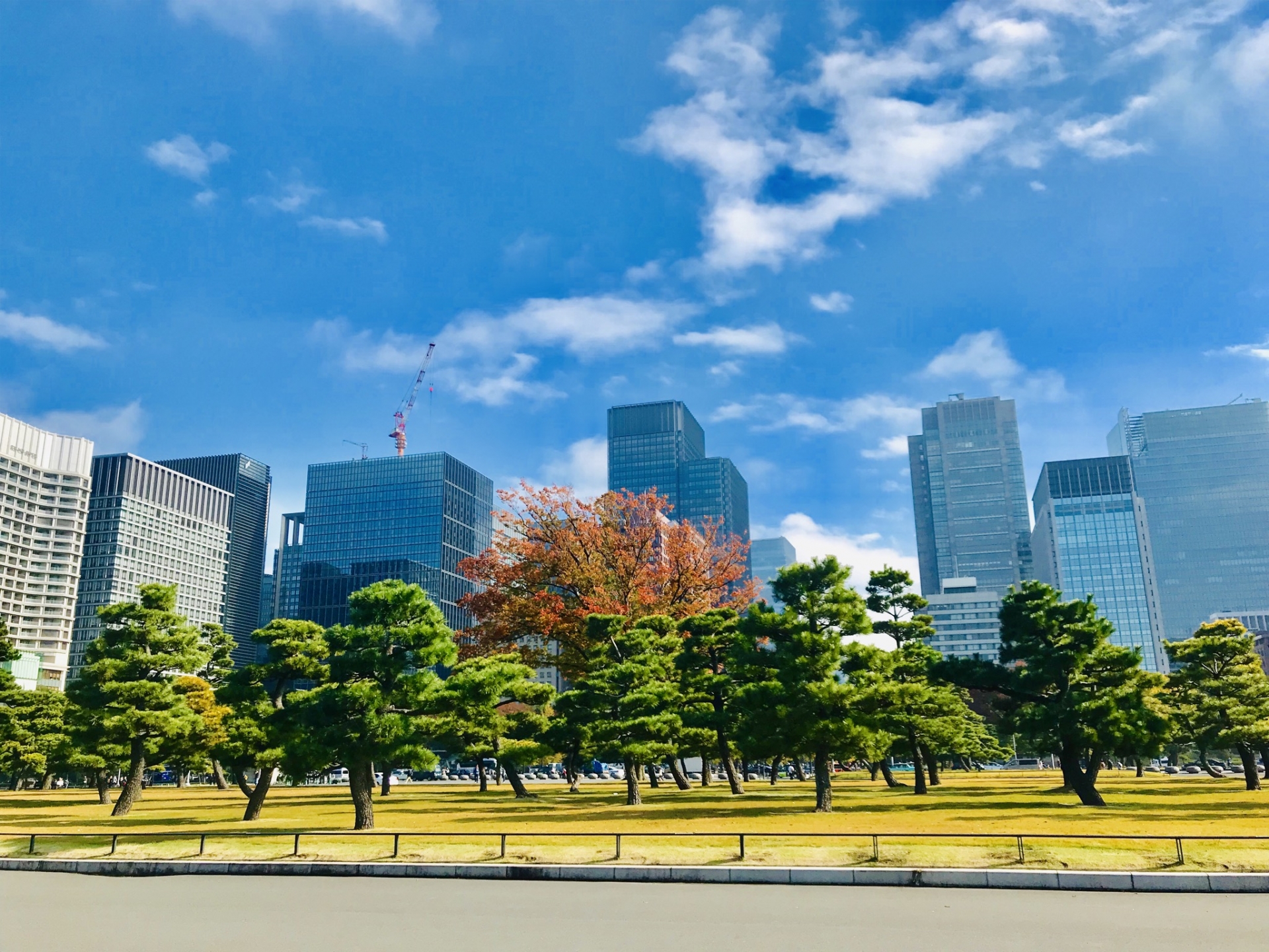 普段は関東近郊を日帰りでドライブしてる私ですが、 連休を取るとこんな感じ🚗 道が続いている限り、行っちゃうよね！道中のサービスエリアや道の駅も楽しいし、