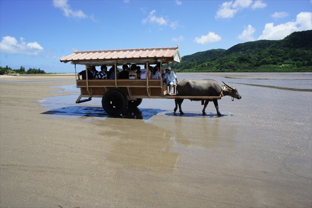 西表島・由布島編＞おーりとーり♪沖縄県・八重山諸島の魅力をお届け♪たびこふれ