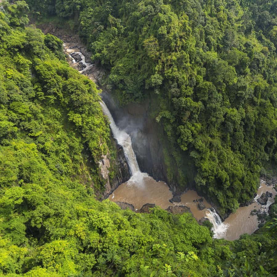 本格的象乗りトレッキング付き！世界遺産「カオヤイ国立公園」散策ホットホリデ