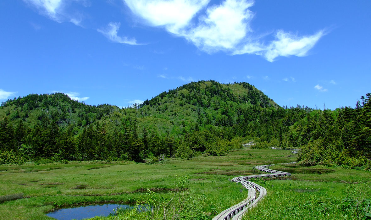 夏の志賀高原ゴールデンラインの遊び方・楽しみ方・食事・観光情報をガイド志賀高原 中央エリア