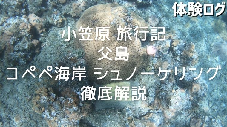 コペペ海岸 アーカイブ - 小笠原の口コミ
