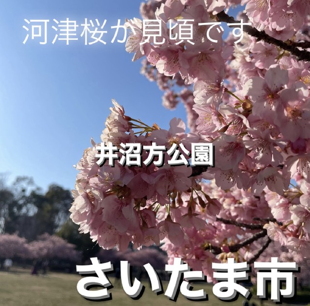 愛の家グループホーム 東浦和大間木の求人・採用・アクセス情報ジョブメドレ