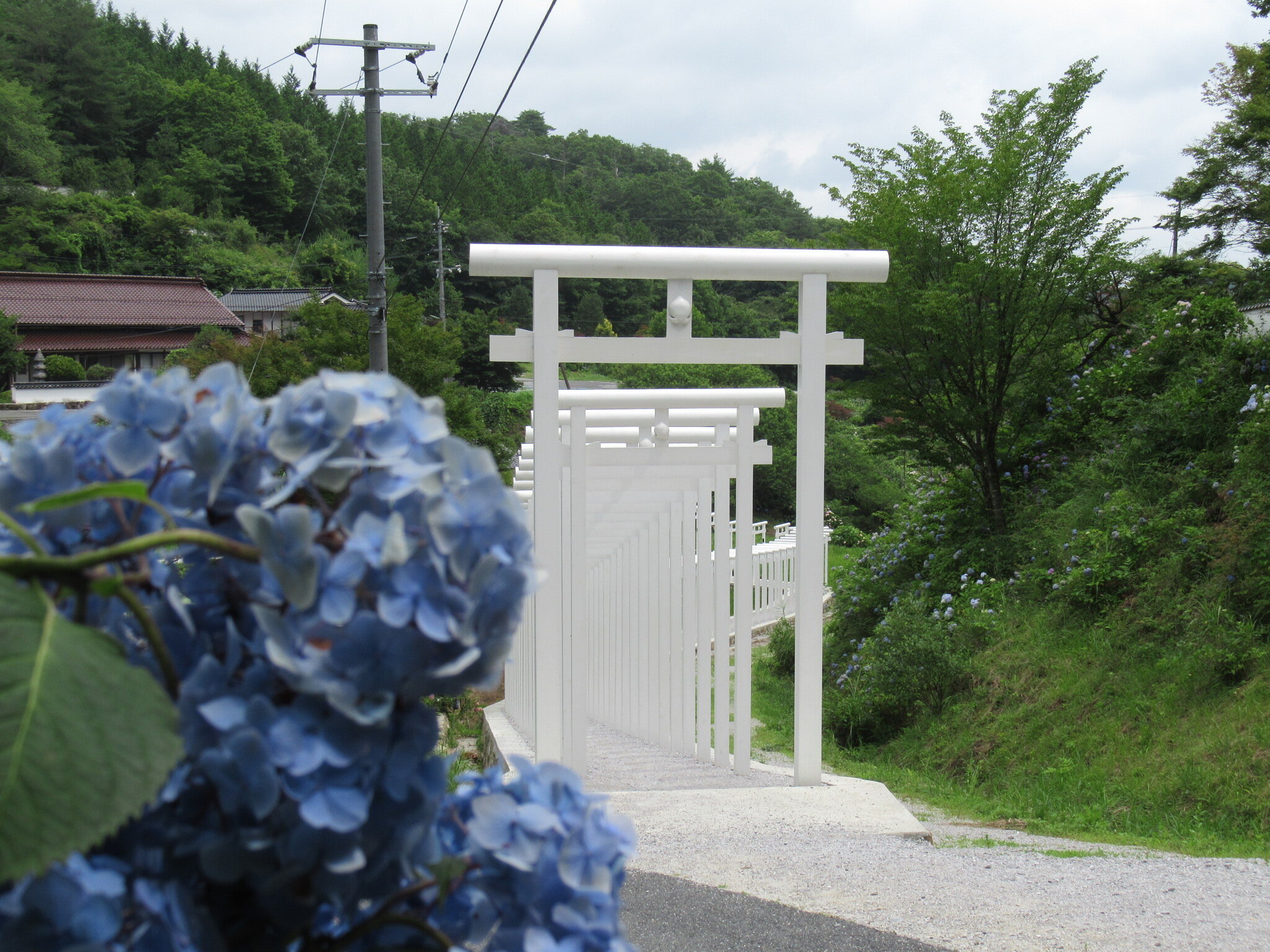 済渡寺 クチコミ・アクセス・周辺情報新見 - フォートラベル