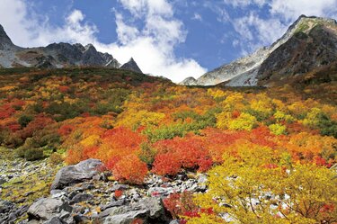 2023年に行きたい山③ 涸沢カール山、ときどき子育て