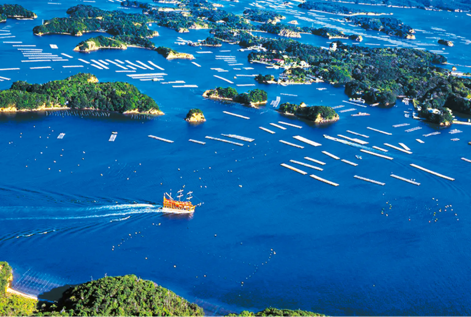 賢島エスパーニャクルーズ 英虞湾遊覧ドライブコンサルタント