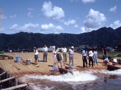 E4.揖斐川の伝統漁法、鮎のヤナ漁