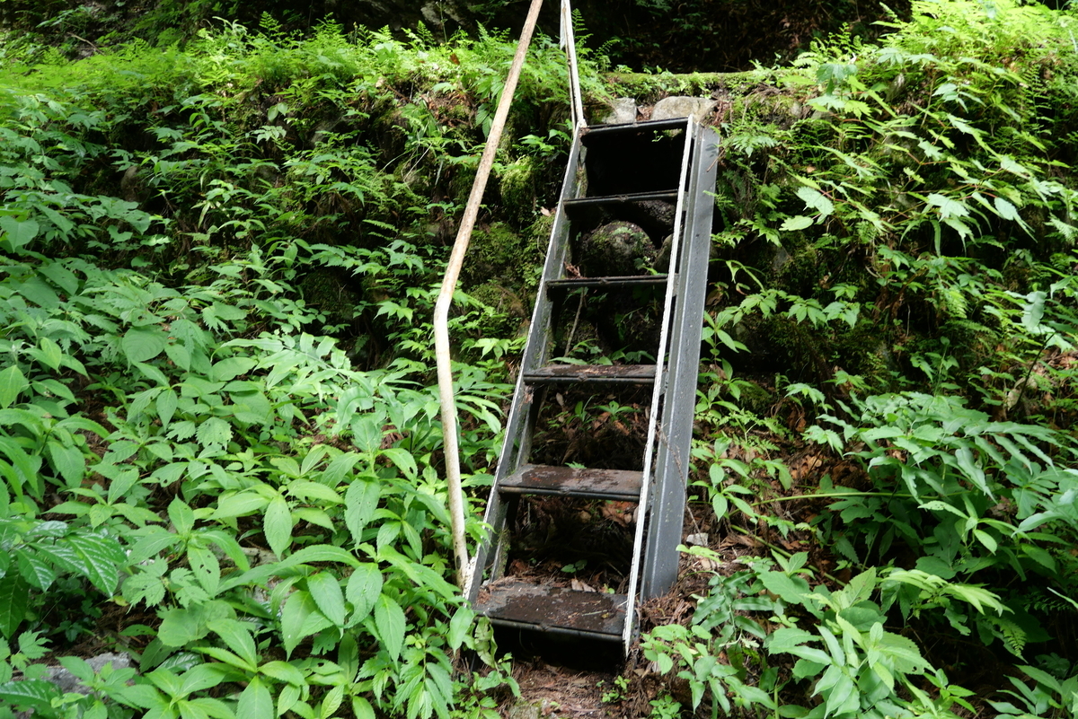 神崎川の透明度に感動！今年も訪れた 2024年 - リチャード