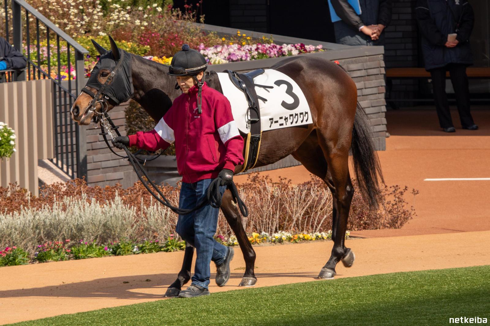 SPY×FAMILY：大規模イベント「わくわくパーク」でアーニャ撮影会 来場者全員に「わくわくアルバム」！ グッズも -MANTANWEB まんたんウェブ