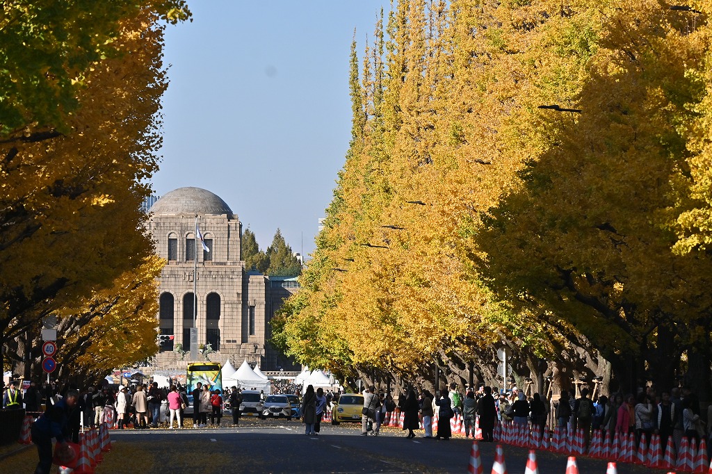 外苑前の銀杏並木は2018年が見頃!? 麓のKIHACHIでは人気のシャンパンフリーフローが登場 樹齢100年超。見頃を迎える銀杏並木で、シャンパンと季節限定パイを。表参道＆原宿のメディア- OMOHARAREAL