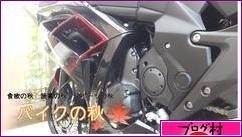 バイクパーツの特殊加工kyus Bike crafts