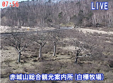 群馬・赤城山でも雪が降ったというので、ライブカメラチェック : スノーボードが大好きっ!!~ snow life