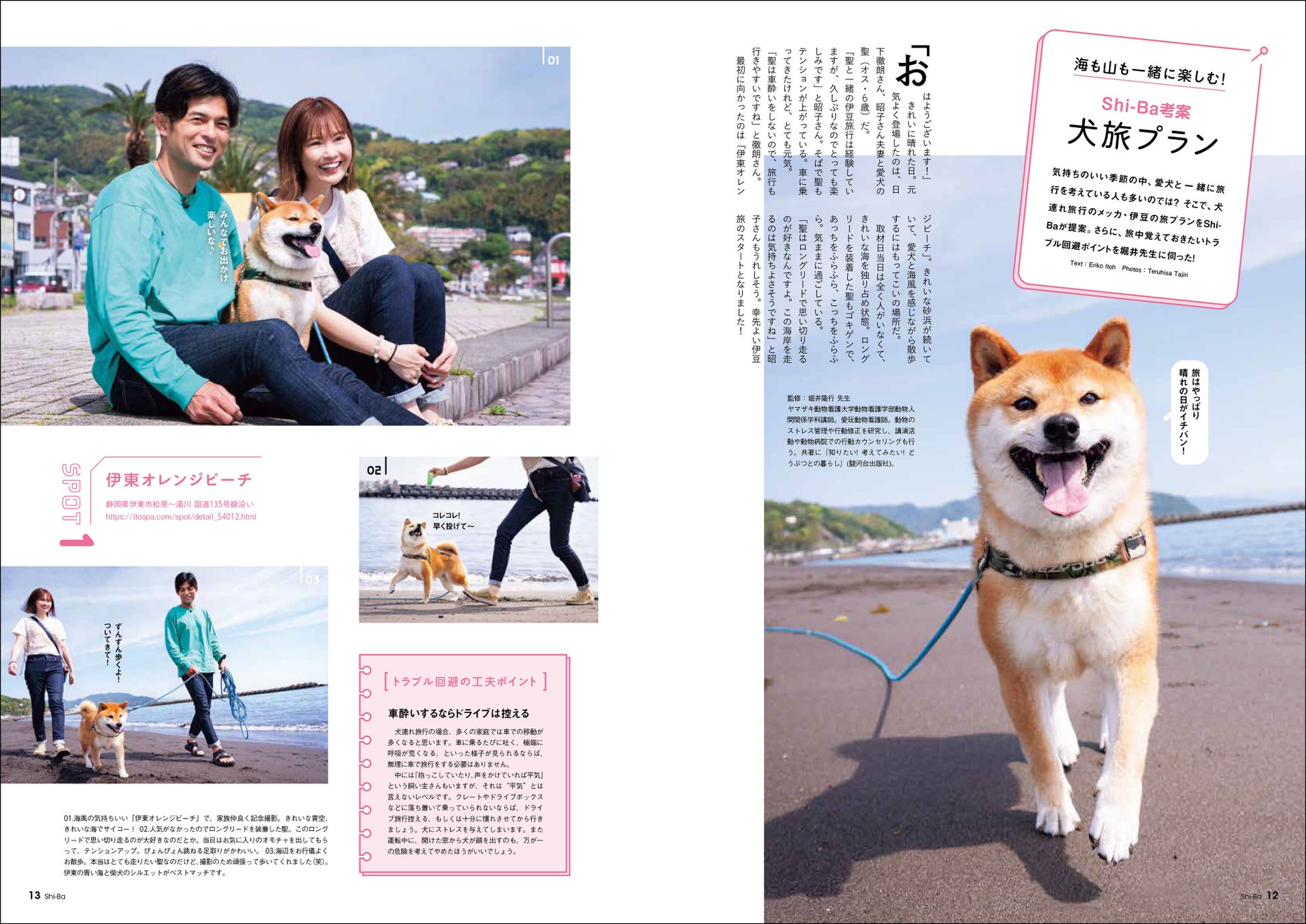 犬との旅行はいつから行ける？注意点や準備すべきものを押さえて旅に出よう愛犬・ペットと泊まれるお宿探しなら「いぬやど」