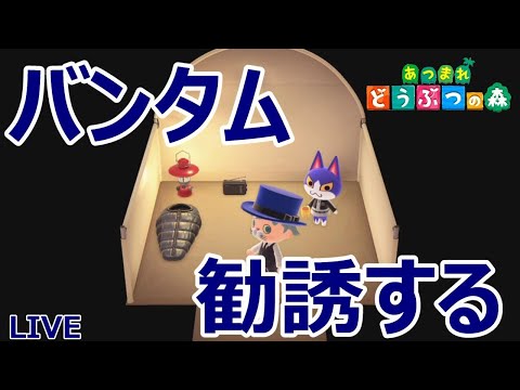 どうぶつの森で「デザイン変更」された住人 一覧 第６弾- YouTube