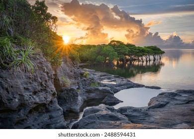 沖縄県うるま市のフリー素材 画像・動画 が無料でダウンロードできると大人気！一般社団法人うるま市観光物産協会のプレスリリース