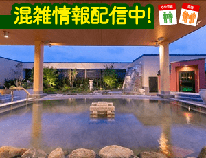 アクセス・施設案内アクアイグニス吉川美南