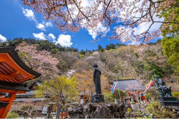 湯ノ花温泉 京都府 の温泉・旅行ガイド 2025年版