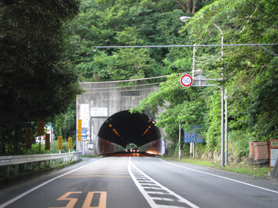 錦ヶ浦 伊豆半島ジオパーク 見どころ おすすめ 伊豆ジオ遺産