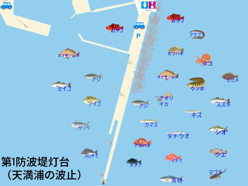 尾鷲～大曽根浦 陸っぱり 釣り・魚釣り釣果情報サイト カンパリ
