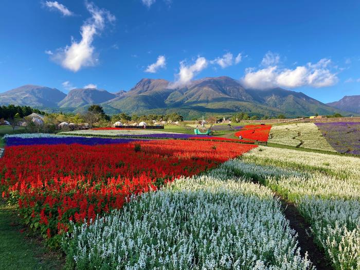 大分県観光地図 - フォト蔵