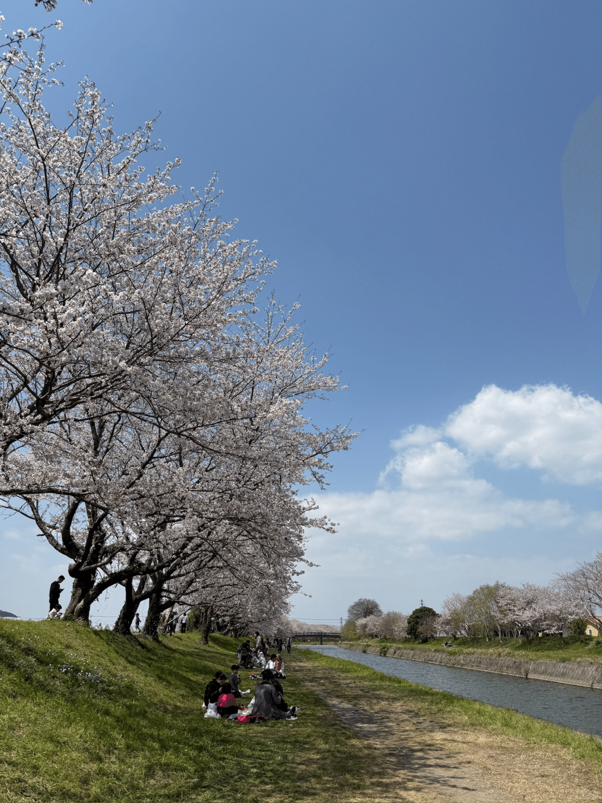 法華原華庭園 身延のしだれ桜身近なロマンを再発見！筑前由紀のプチトリップ