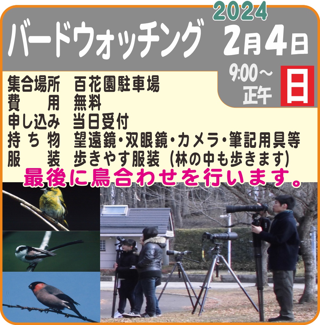 江戸川区 葛西臨海公園・葛西海浜公園バードウォッチング国内風の旅行社