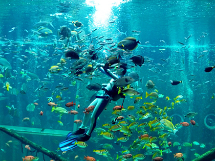 箱根園水族館水族館とか動物園を巡って