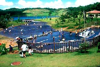 やんばるの秘境に流れる源河川で思いっきり遊んじゃおう！よみもの沖縄CLIPあなたの沖縄旅を豊かにする体験予約サイト・観光情報メディア