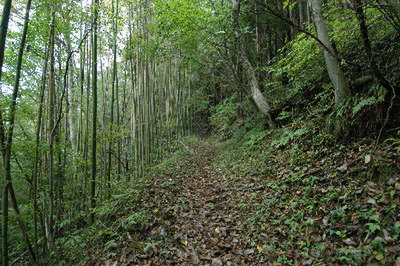 親谷の湯“へ来んかの・ブログ白山白川郷ホワイトロード
