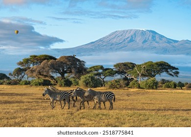 キリマンジャロ、ケニア、アフリカで最も高い山。の写真素材・画像素材 Image 70449465