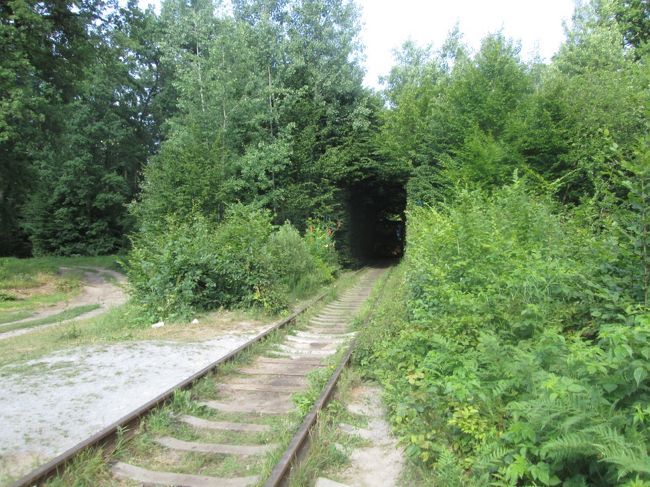 恋のトンネル 愛のトンネル 」徹底ガイド旅の大事典