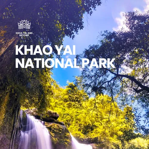 2025年 カオヤイ国立公園 - 出発前に知っておくべきことすべて