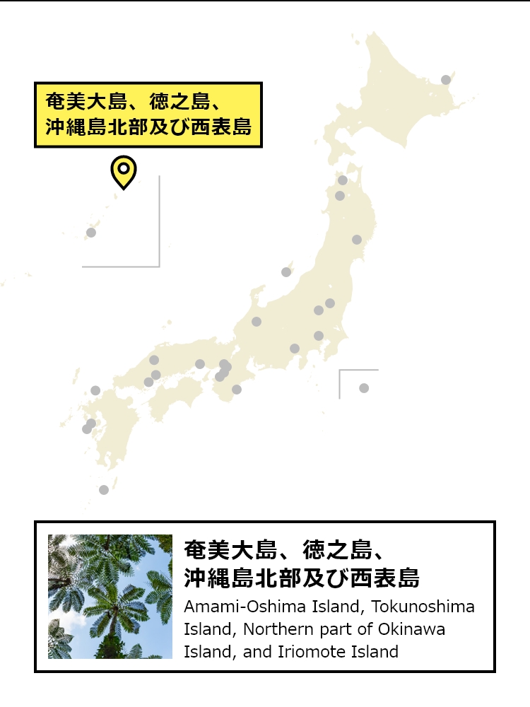 奄美大島、徳之島、沖縄島北部及び西表島 - 日本