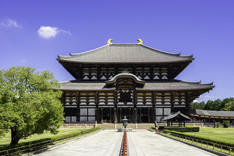 興福寺 奈良公園 ＞奈良県 - 奈良・斑鳩・飛鳥・天理エリアの神社仏閣