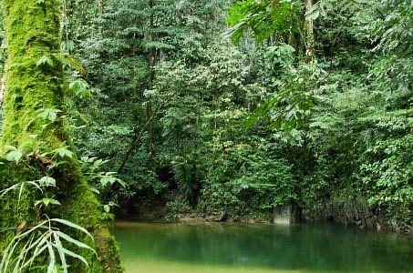 グヌン・ムル国立公園 マレーシアの世界遺産マレーシアAll About