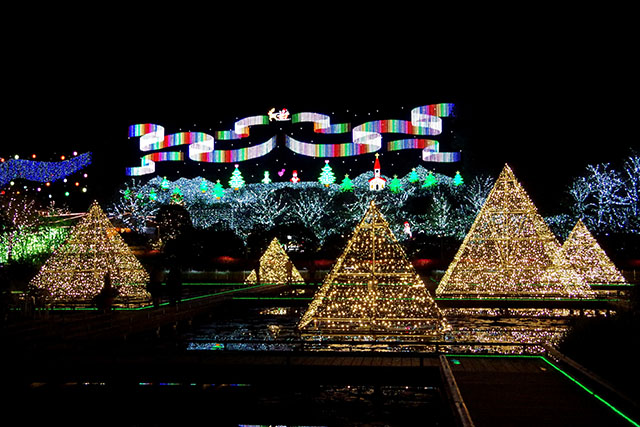 2025 あしかがフラワーパークのイルミネーションはいつからいつまで？期間とチケット情報を解説