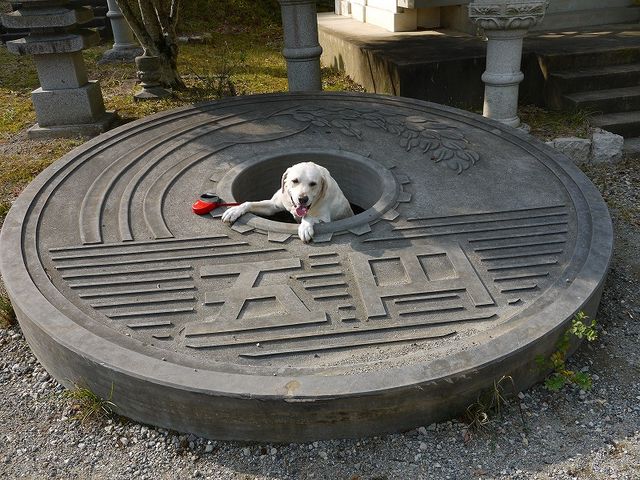 数時間で世界をめぐる？姫路の太陽公園が色んな意味で凄いパラダイスでした 2021年6月中旬訪問いちこ白書