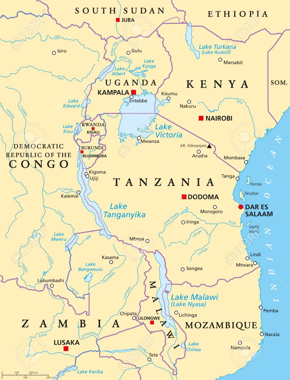 ナイル川Webon ウェボン