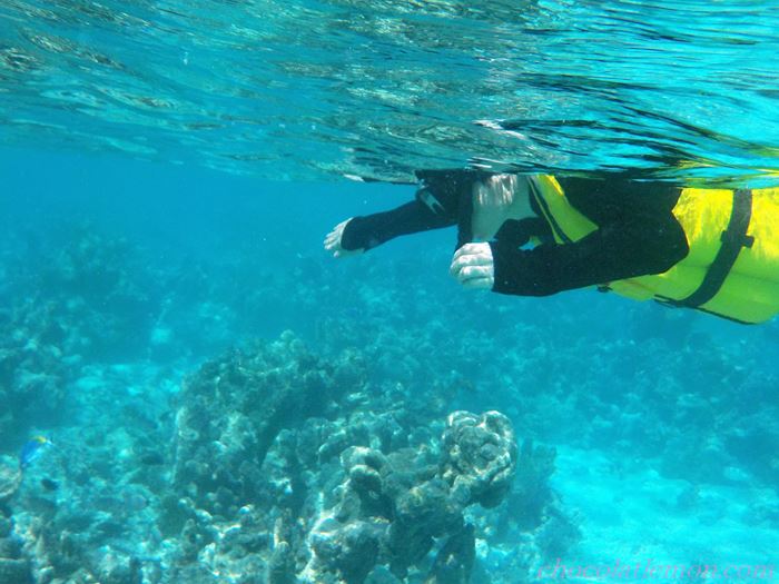 モルディブ シュノーケリング価格と