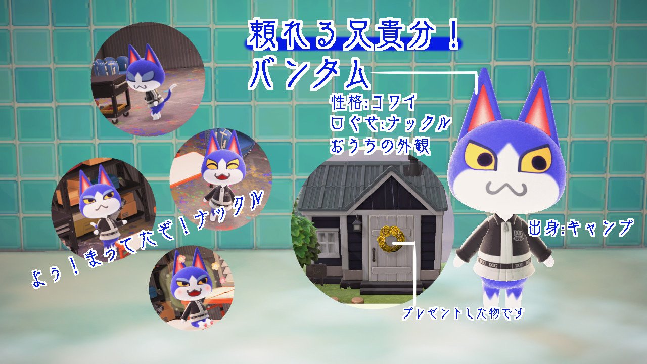 あつ森 バンタム誕生日に潜入したら住民同士でラブラブだった！誕生日と引っ越しの1日 あつまれどうぶつの森- YouTube