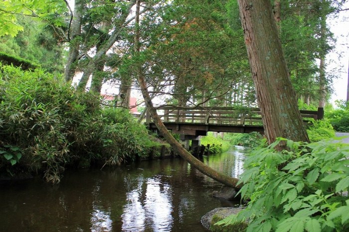 2025年 カッパ淵 - 出発前に知っておくべきことすべて -