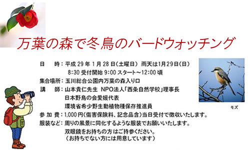 旭岳姿見園地バードウォッチング旭岳ビジターセンタ