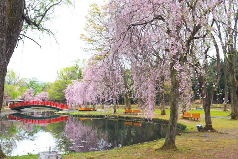 南魚沼・湯沢の魅力 湯沢中央公園の足湯 - 新潟県ホームページ
