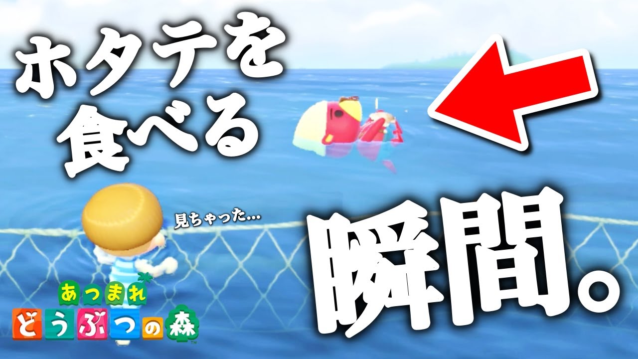 あつ森 ラコスケのセリフのまとめ - ゲーマーときどきエンジニア