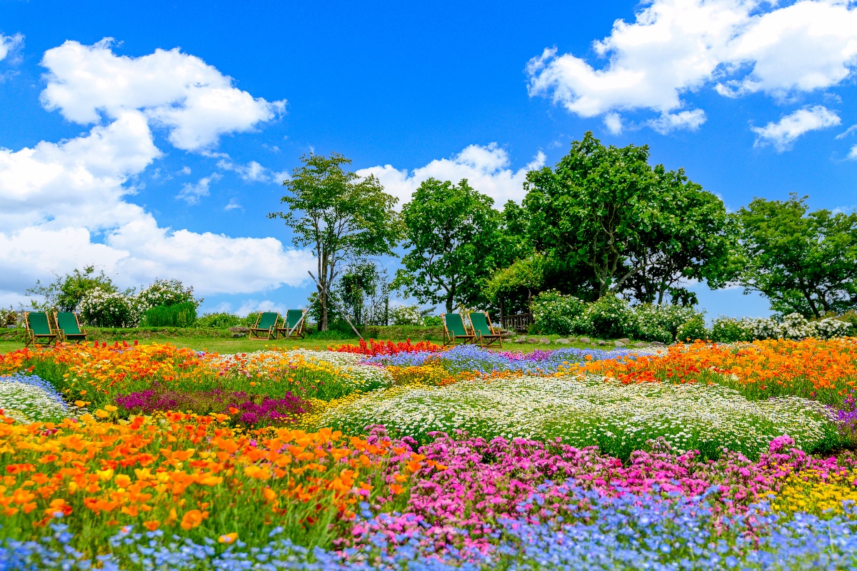 大分県の観光スポットランキング│旅行時におさえたい！全国の人気＆穴場スポットを紹介 旅色