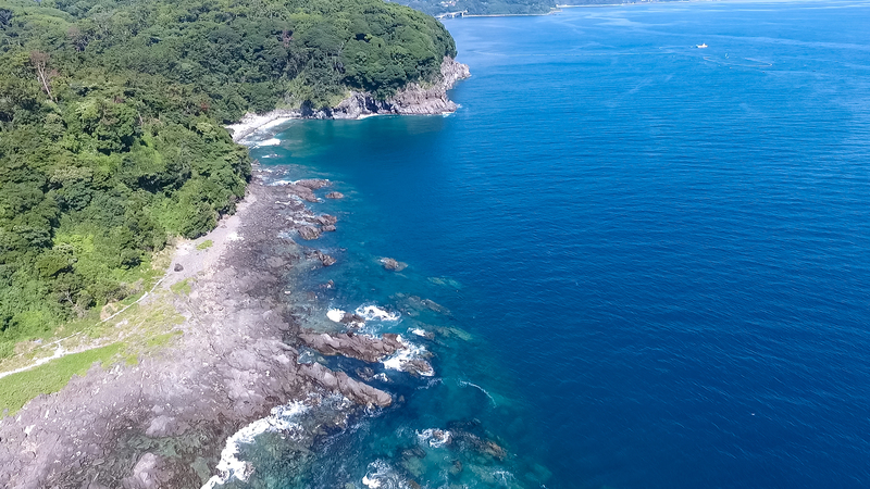 真鶴で釣りができるポイント10選！おすすめスポットや釣船をご紹介TapTrip