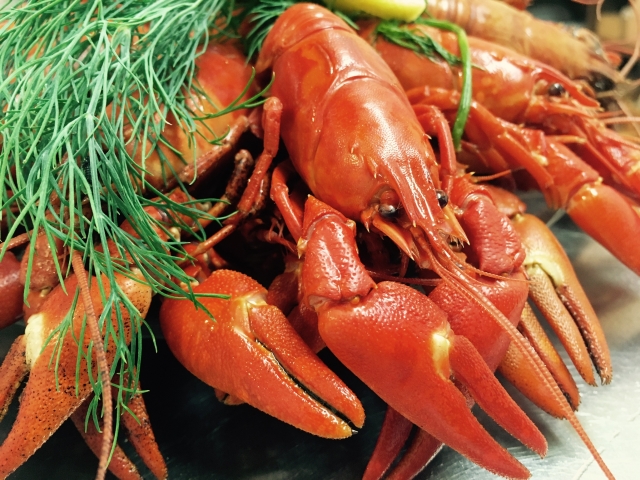 HARD TO FIN ざりがにのパーティー Hard